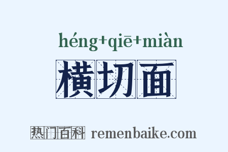 横切面是什么意思的图片